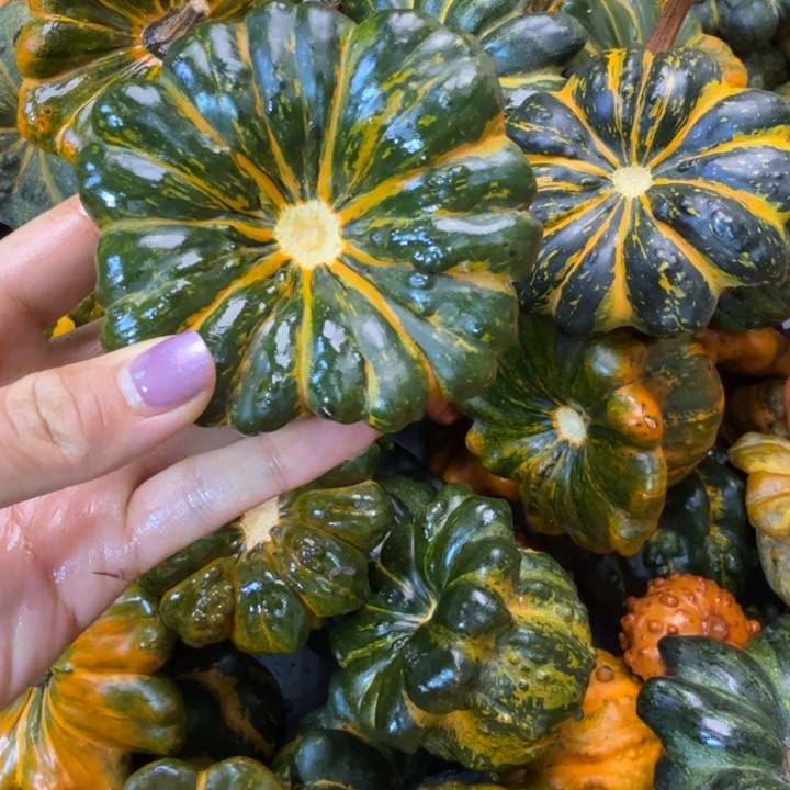 思***话饿哦饿哦饿哦饿哦饿哦饿哦饿哦