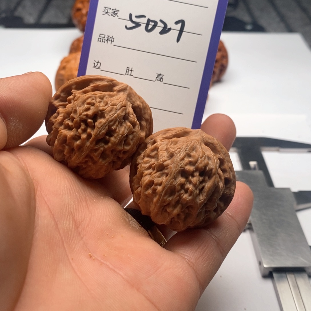 吊坠文玩核桃5027