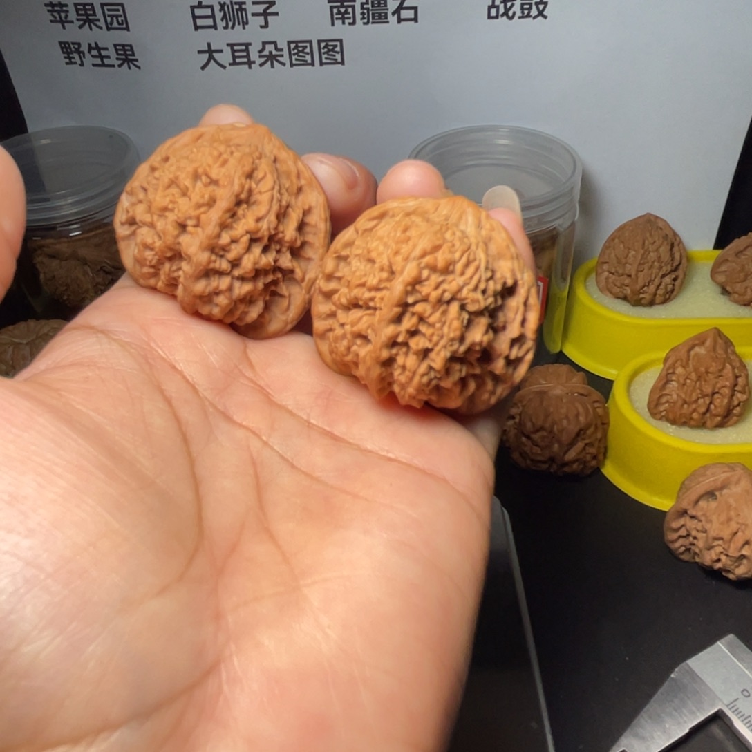 桃核把件满天星核桃