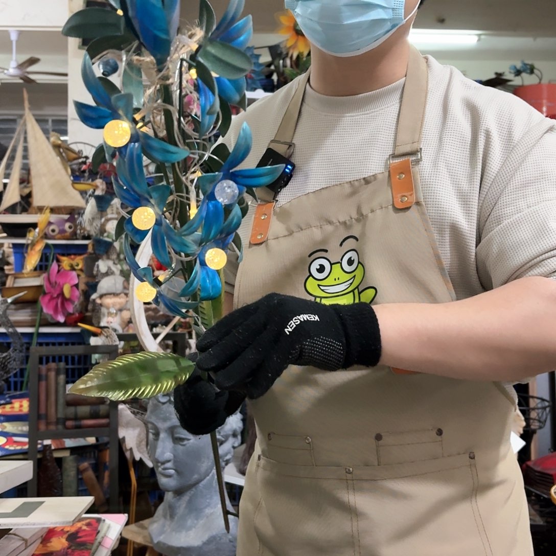 核桃木/黑胡桃（胡桃木）