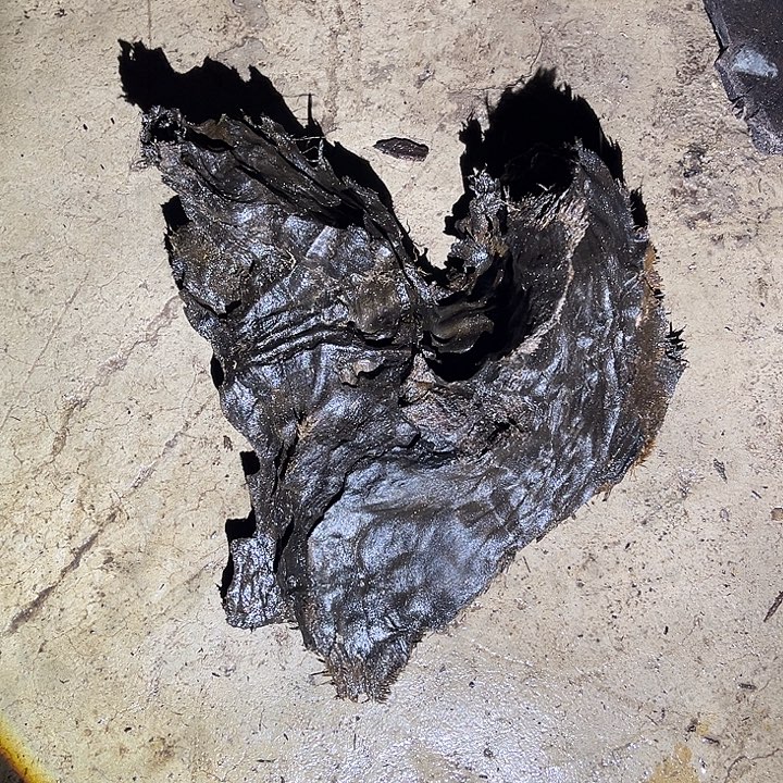 卜***仔金丝楠木原料摆件