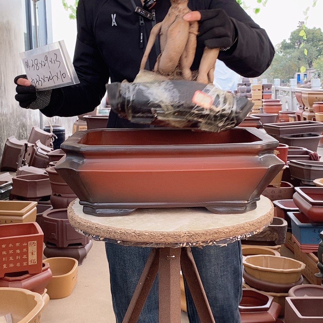 花盆紫砂紫砂花盆