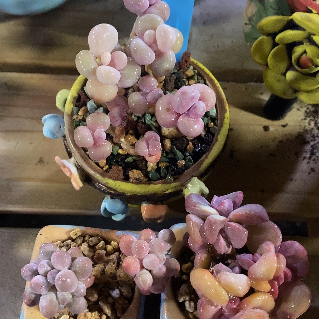 120118let图洛阳小雨了