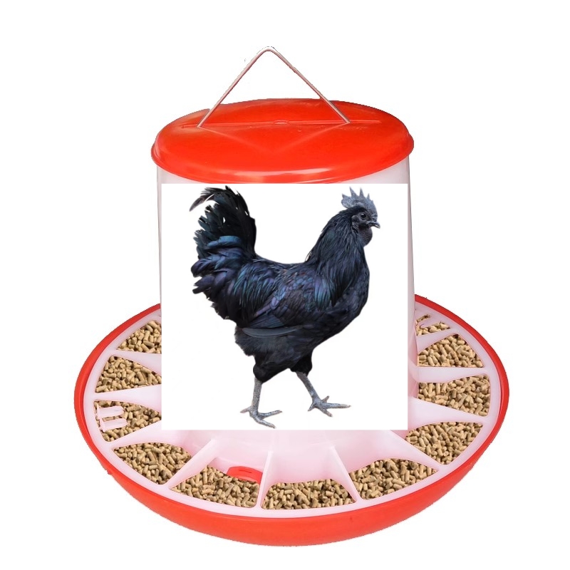 【50只]五黑鸡饲料桶全自动水壶小鸡食槽饮水器自动下料饮水饲料桶