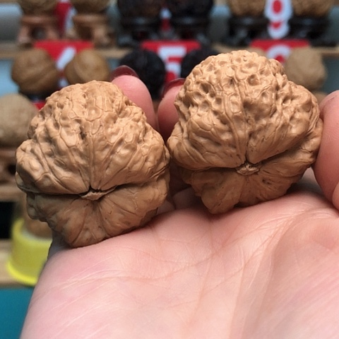 文玩核桃把件云南铁核桃