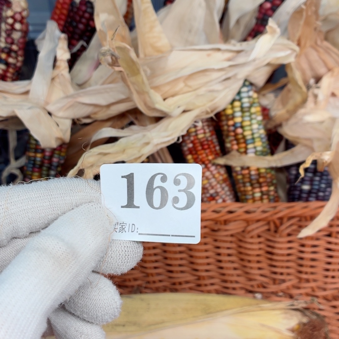 糖***。白玉菩提吊坠文玩精品文玩精品