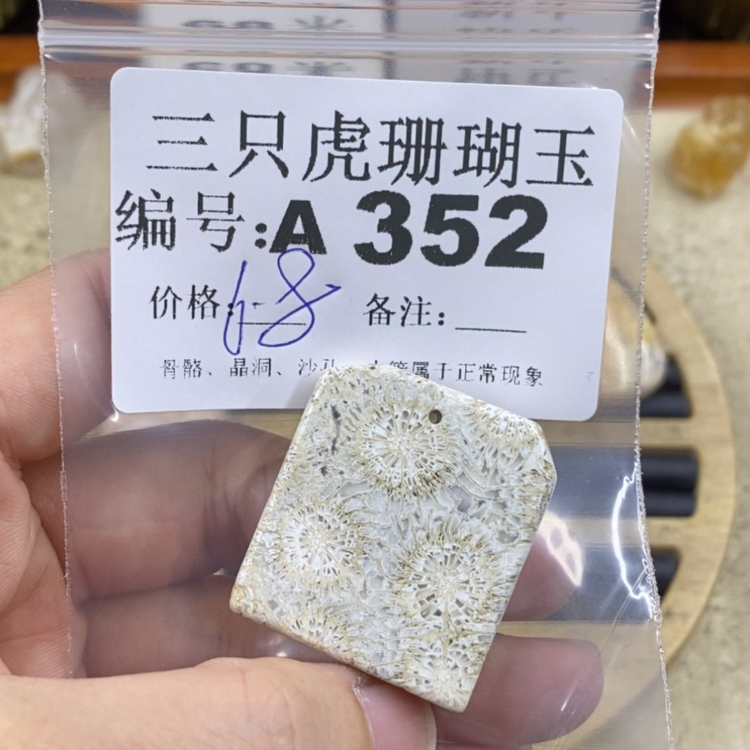 硅化珊瑚（珊瑚玉）1未镶嵌用****2