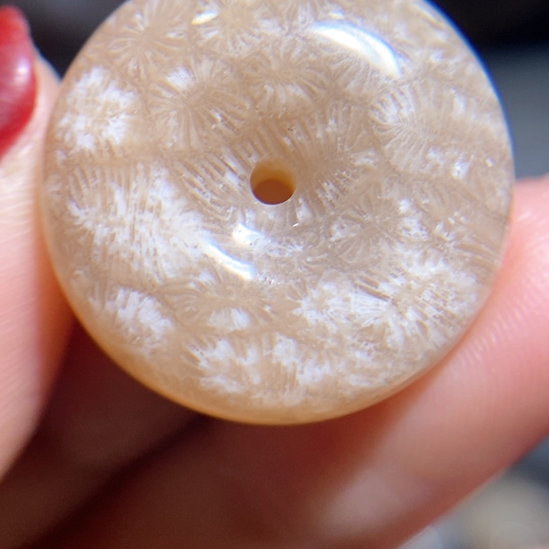 【闪购商品】硅化玉颈饰未镶嵌