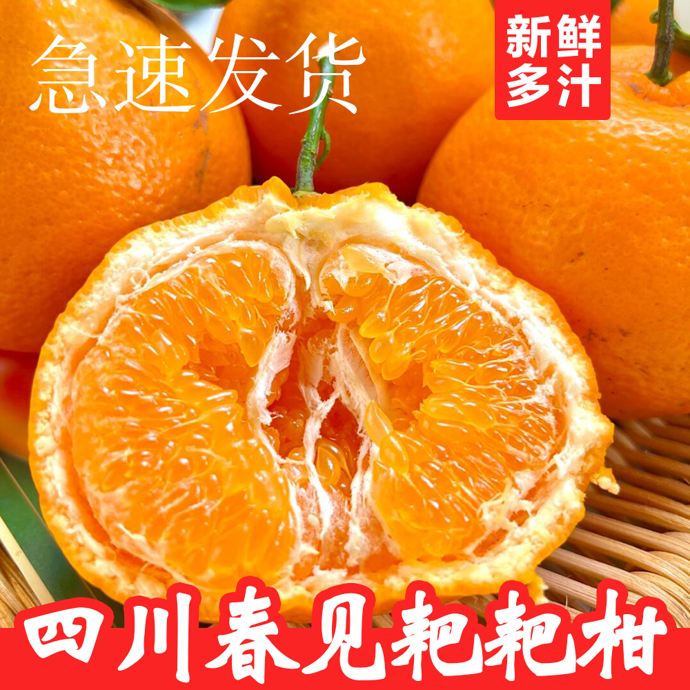 YX正宗四川春见耙耙柑橘自然熟当季整箱新鲜水果多汁
