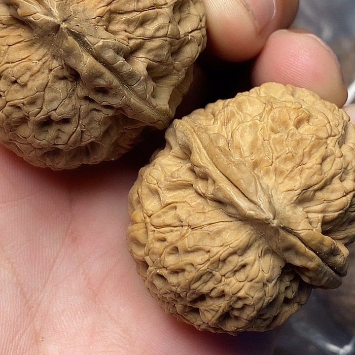 文玩核桃把件志成云铁文玩53