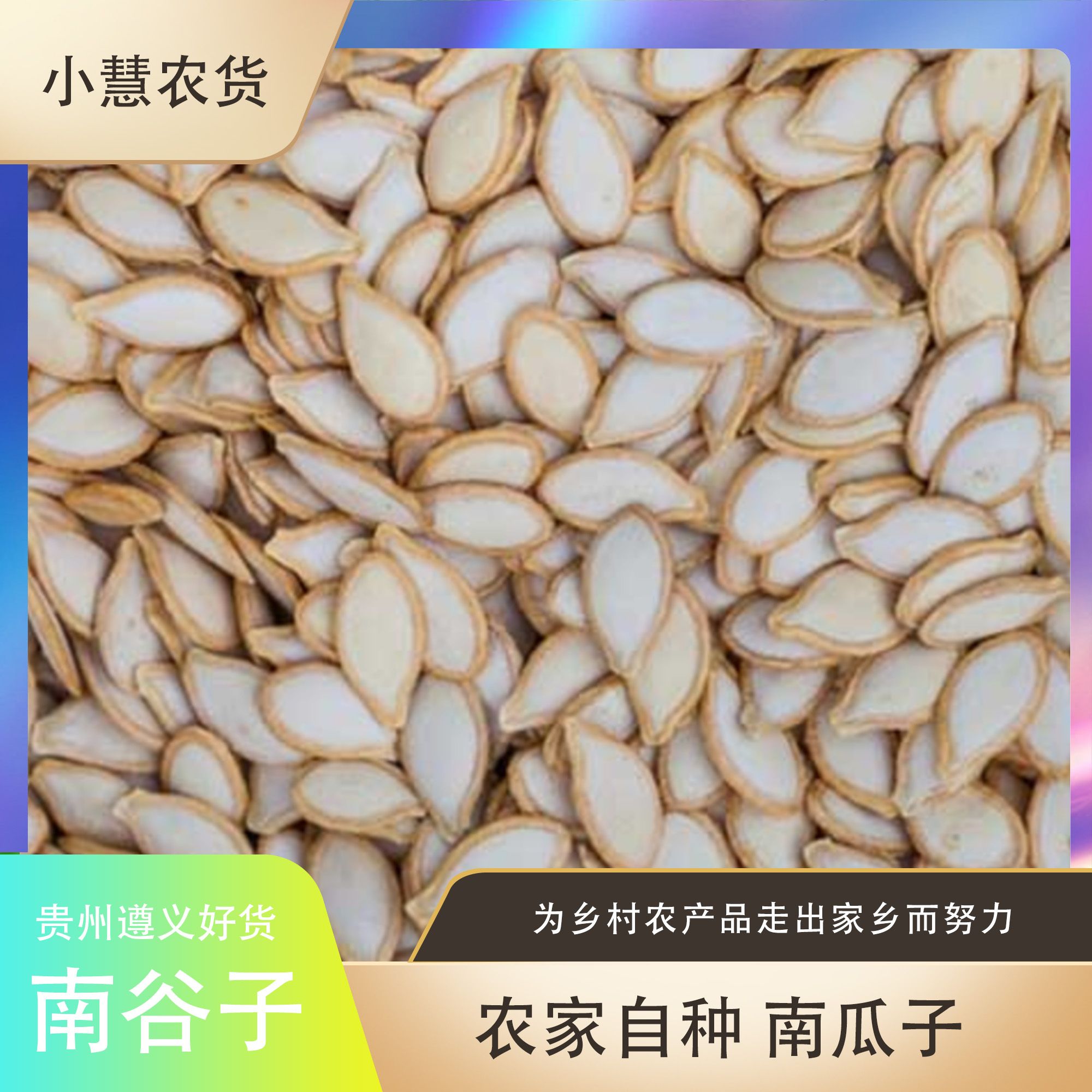 南瓜子晾晒南瓜子