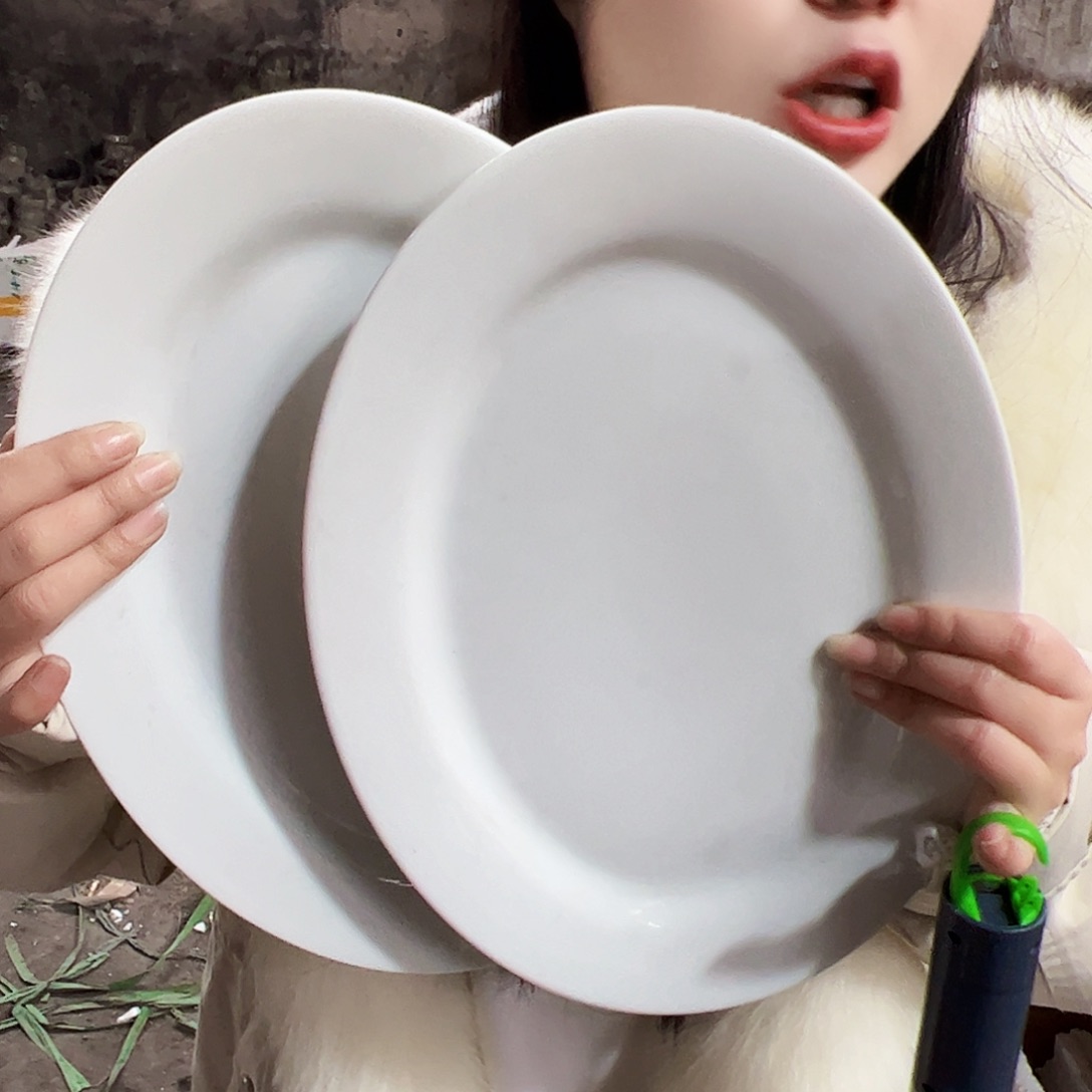 摆件陶景德镇陶瓷12寸鱼盘2个