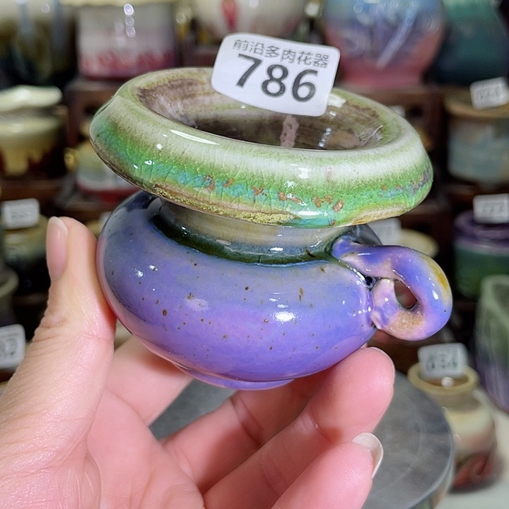 狼盆内口径6高度6