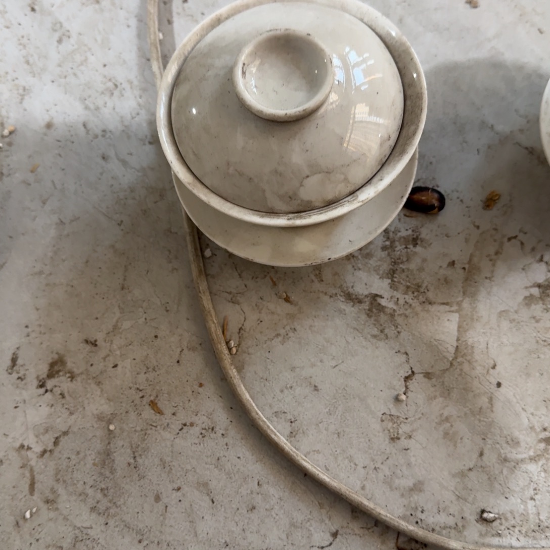 茶盏我是小猫你怎么知道他喜欢