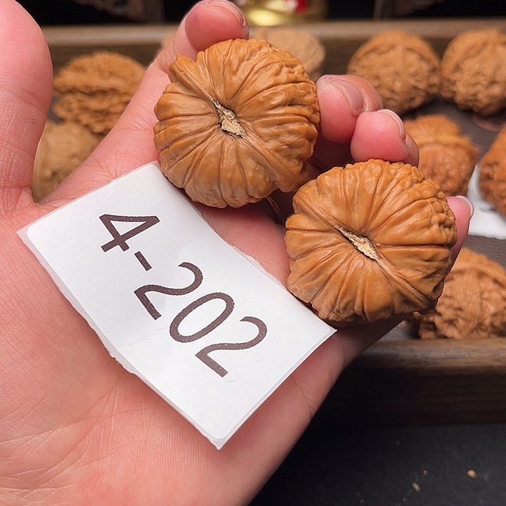 成****石楠木41全品南瓜墩4202