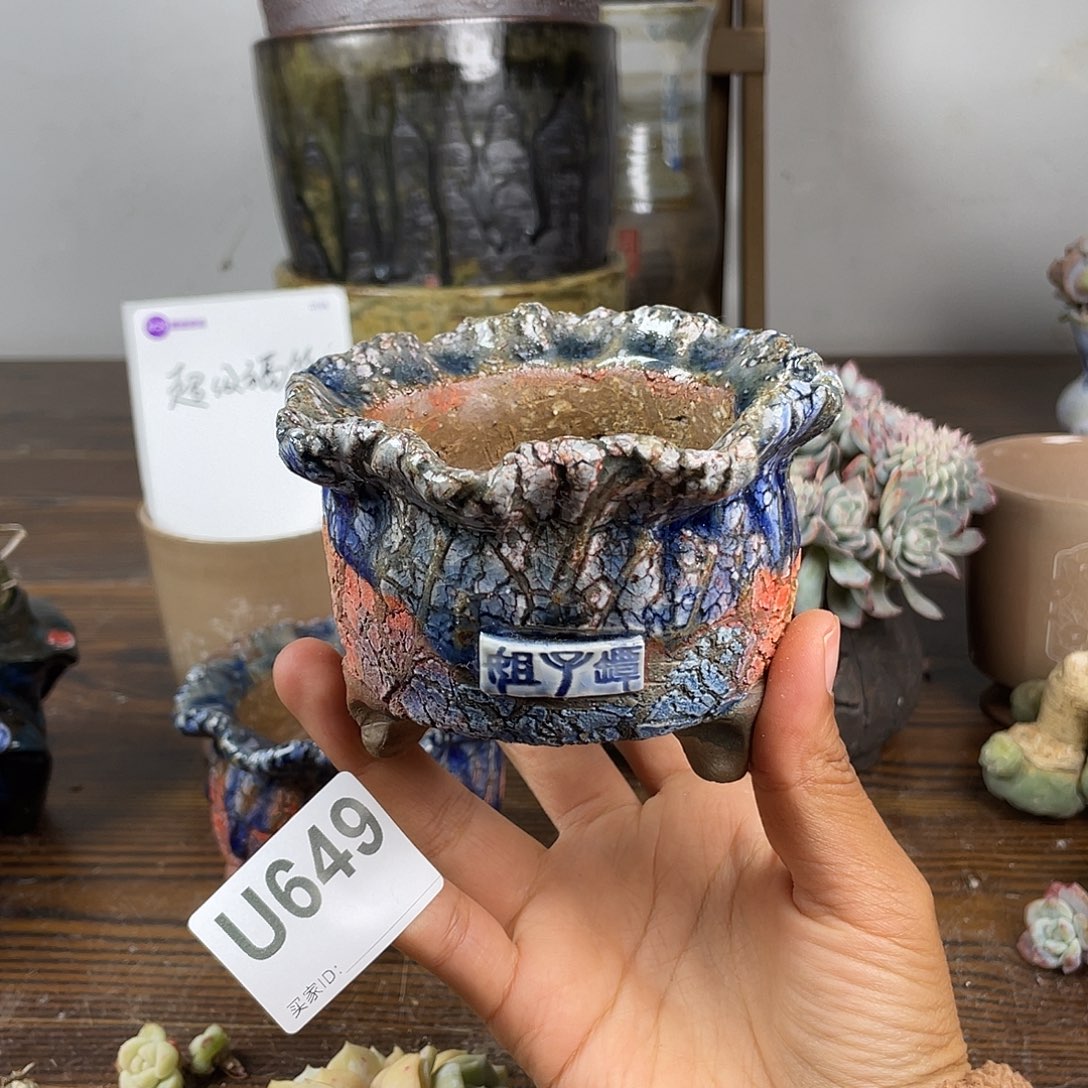 默认微次 元旦福利 坛子姐花盆