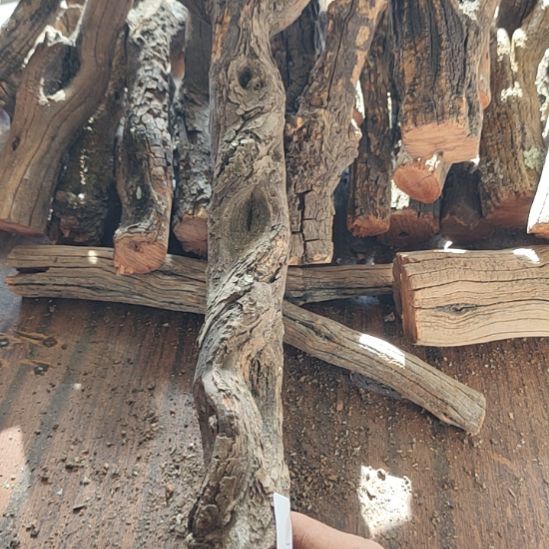 不***见火琉璃原杈不保沉水慎拍！