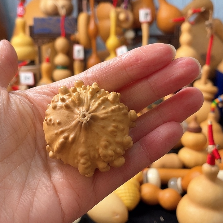 新****兄葫芦丝老师在讲道理吗