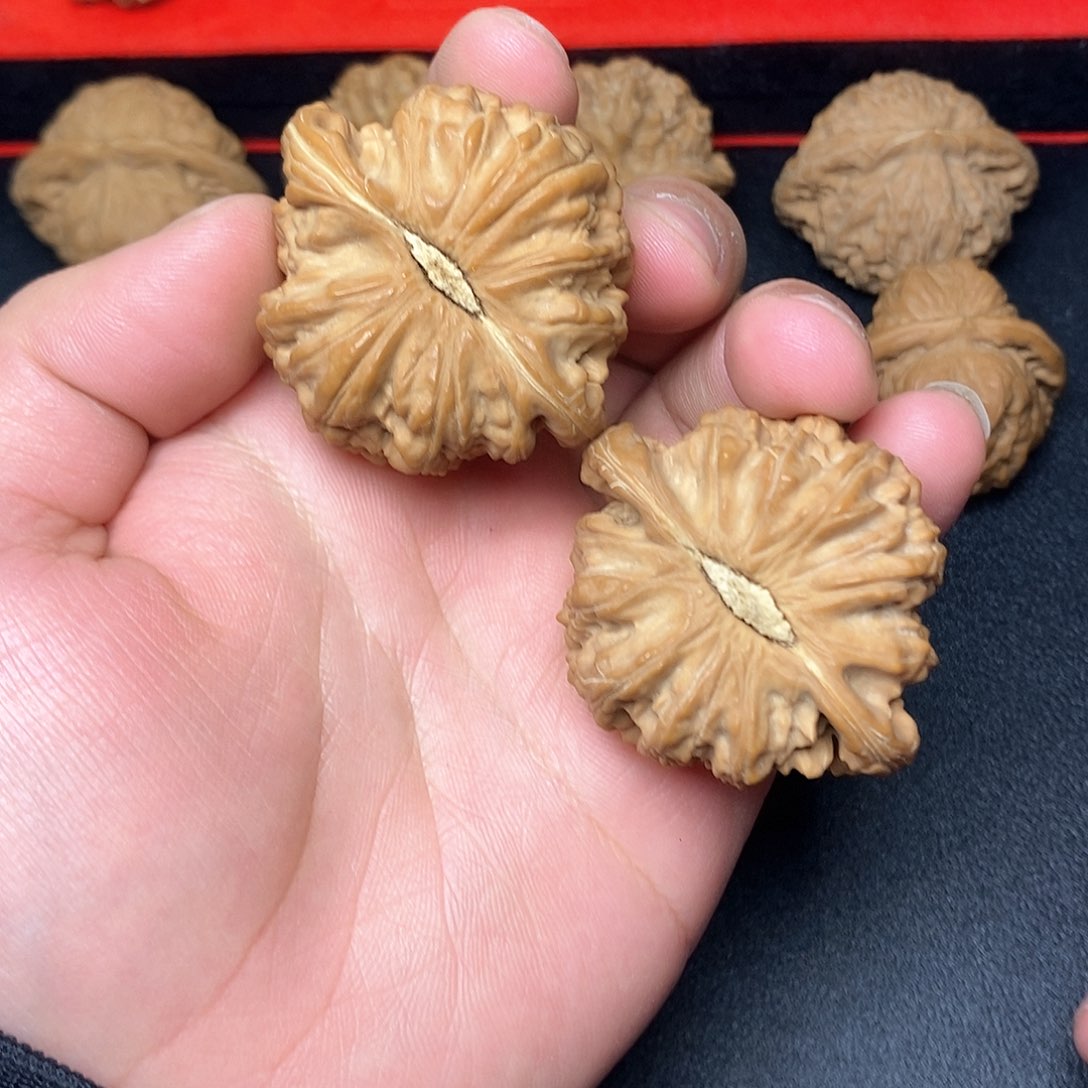 文玩核桃把件什****起46➕白狮子