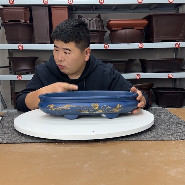 紫砂花盆蜘蛛是人类