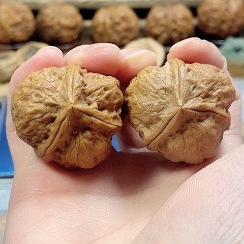 文玩核桃把件玄武索带彩37