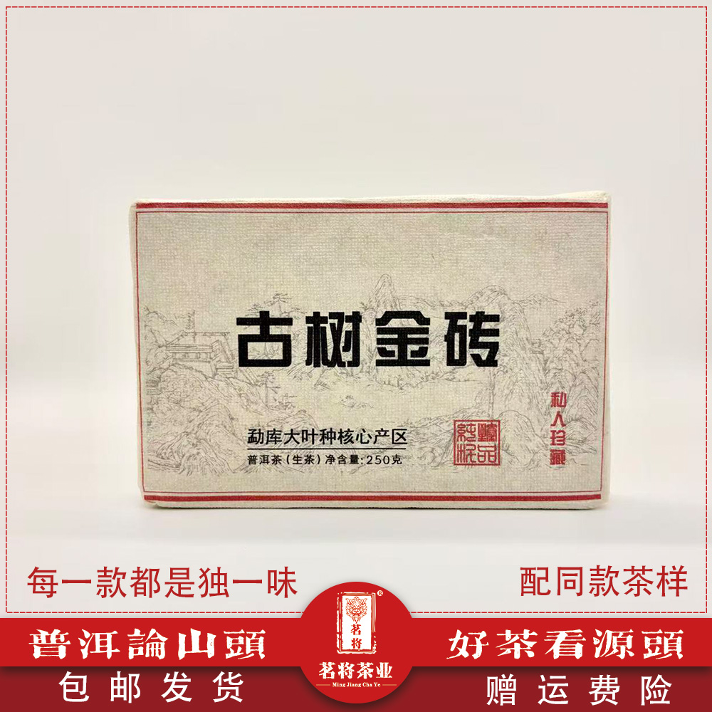 2025年冰岛茶区岔箐古树头春黄金叶砖福利款250克