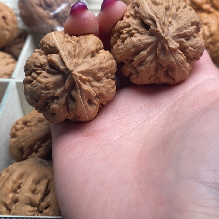 胡***为吊坠文玩核桃霸王龙