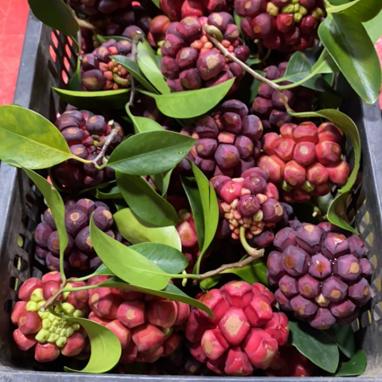 果园现摘“熟果！！！”尝鲜、猎奇、试吃混装黑老虎、入口即化、清甜清香！