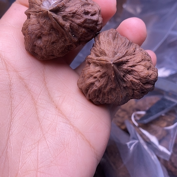 文玩核桃把件  127