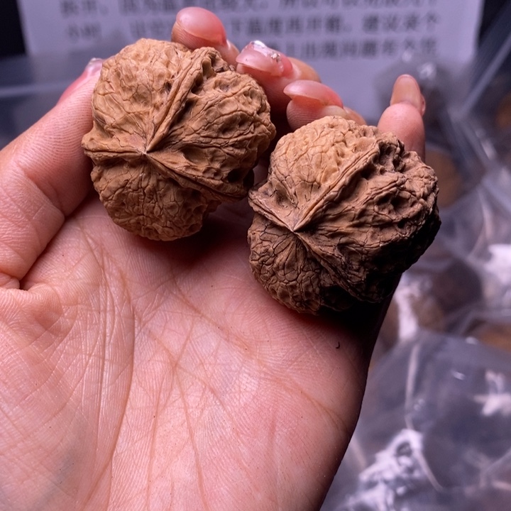 核桃云南野生铁核桃114号37mm