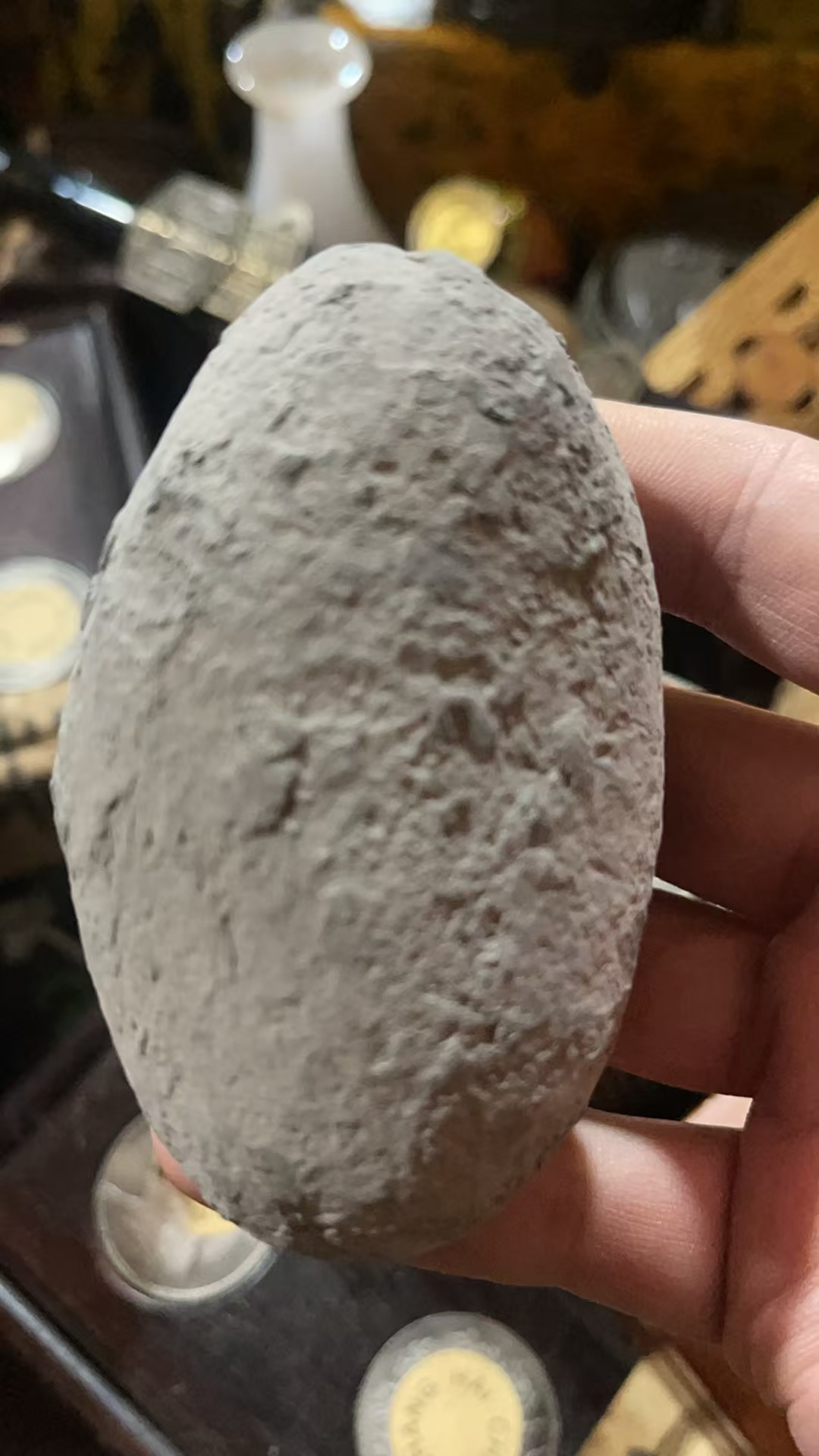 【粪Q】多样性发其一   