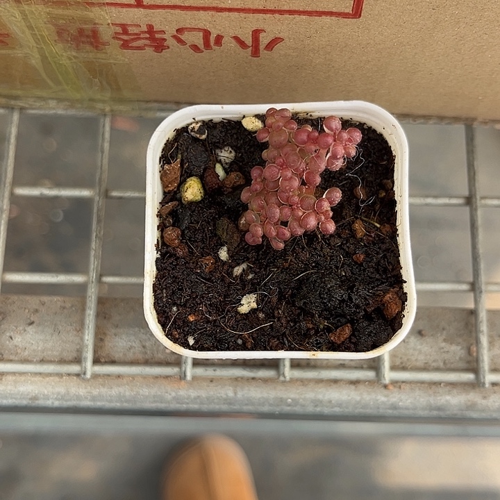 我也不知道我为什么要这样