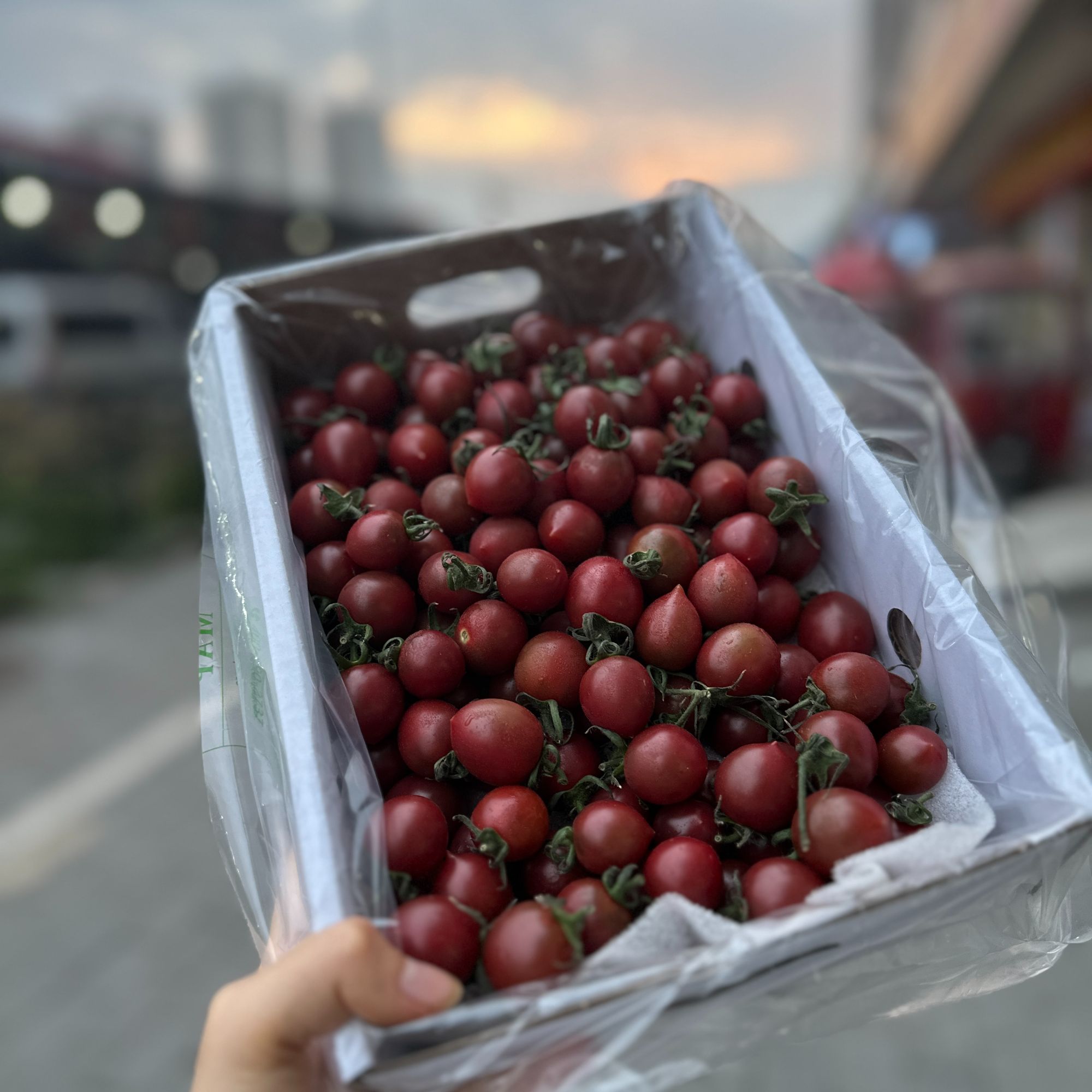 【双福翠宝宝】 紫樱桃千禧 广东电白 爆甜好吃 2斤一件 只发川渝