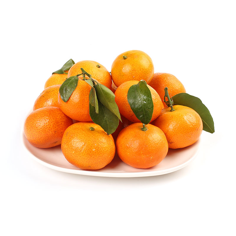 广西金秋砂糖桔1kg（果径40mm+）