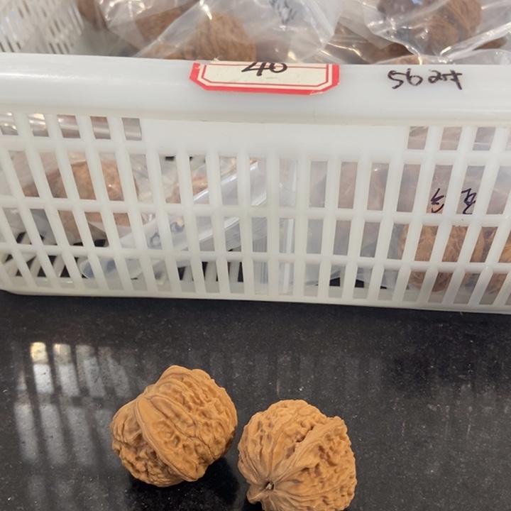 吊坠文玩核桃红豆