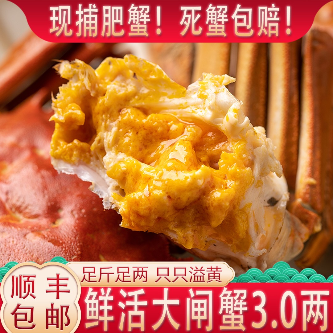 【活蟹现发】全母蟹 3.0两 10只 江苏精品湖蟹肥大闸蟹成熟送礼G10