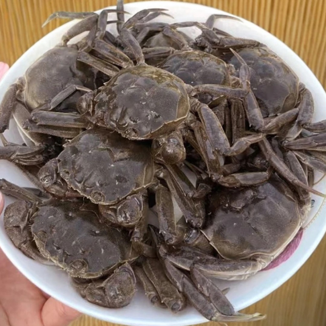 【活蟹】盘锦河蟹稻田蟹1两公（0.8-1两）20只一箱约2斤左右