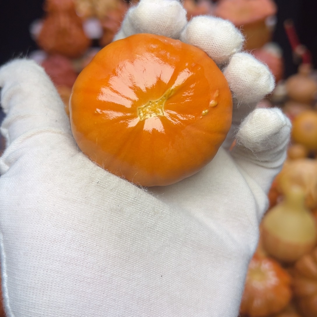 墨西哥葫芦花饼全品
