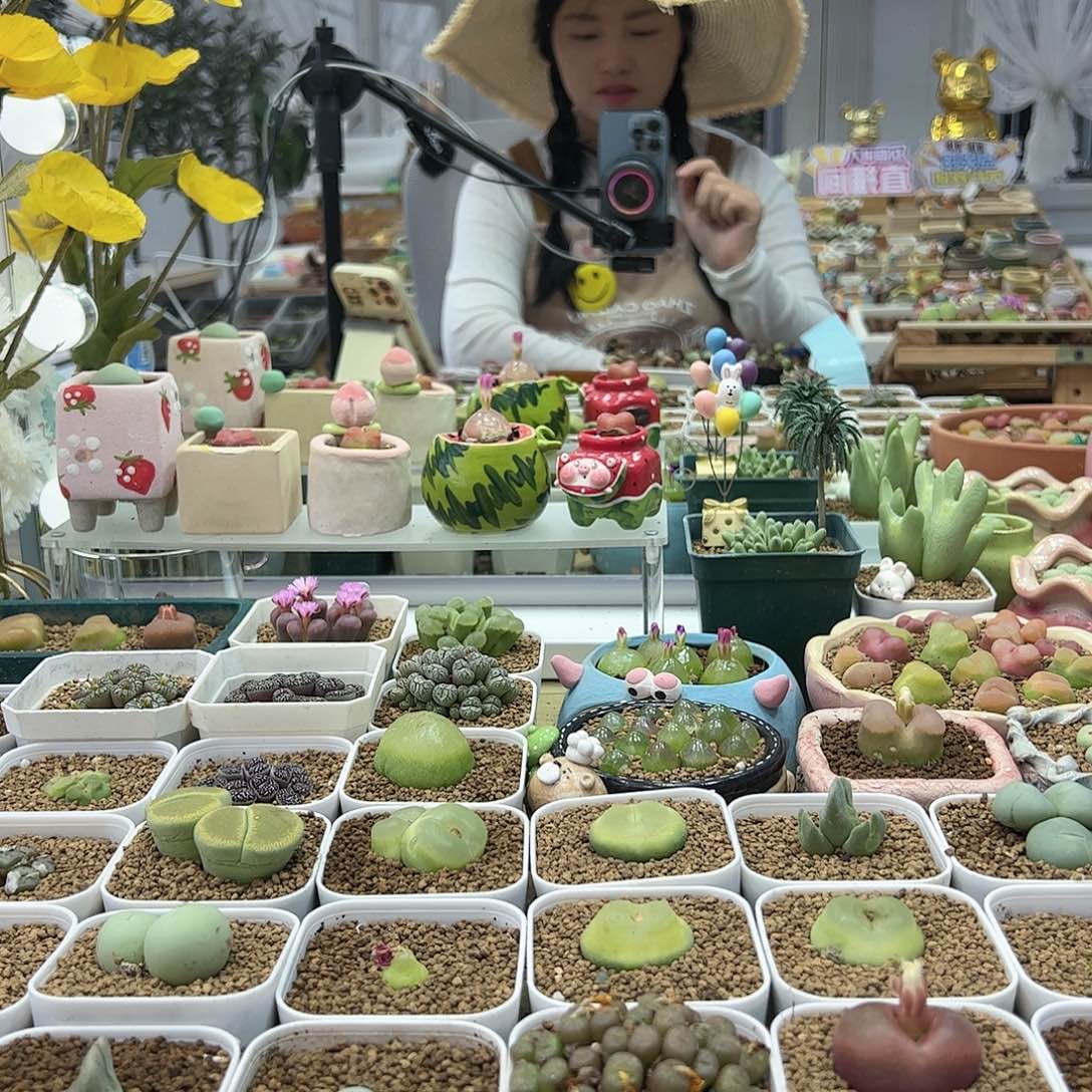 【闪购商品】114 + 诸事顺利 100米