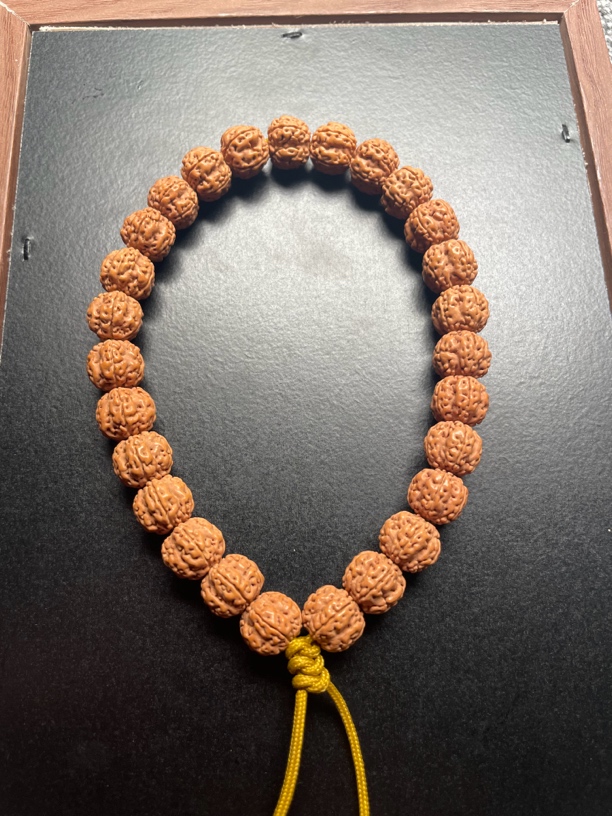 白月光出品～梅花双龙单圈