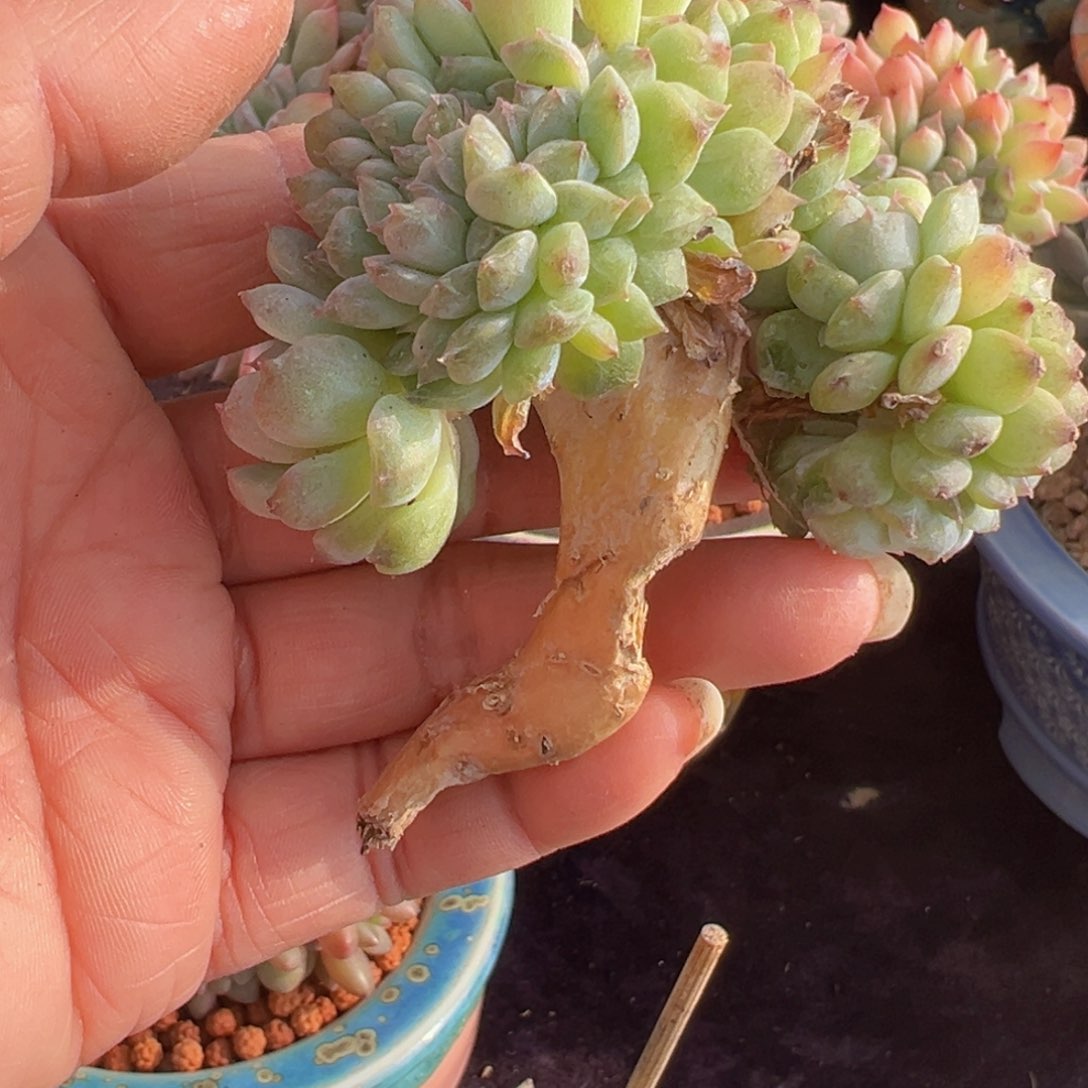 新年快乐啊宝宝们加油88888888