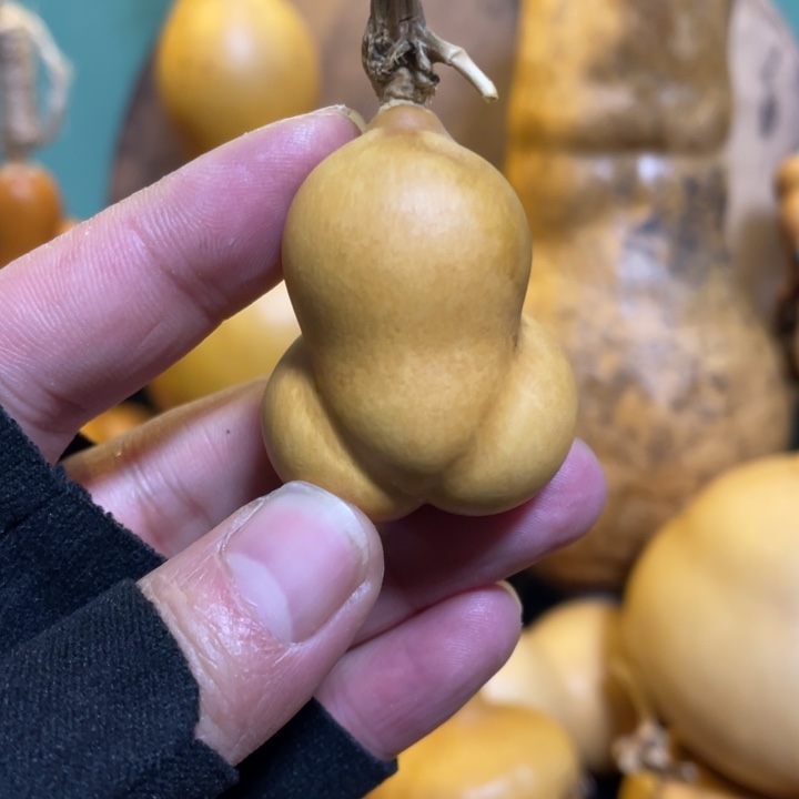 看好下单不保龙头