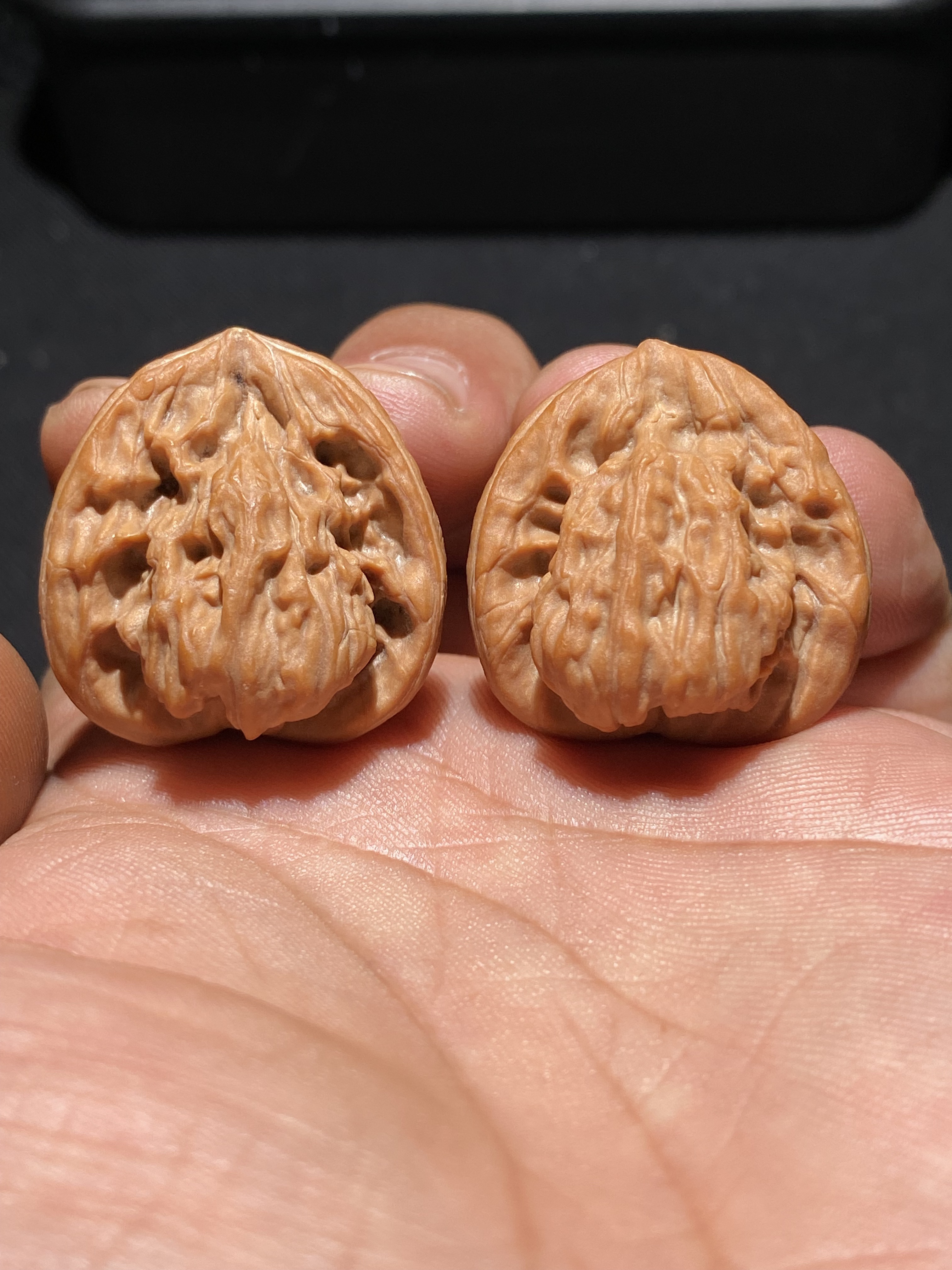 文玩核桃红狮子手捻异形佛龛棱距29肚30高30 E9975