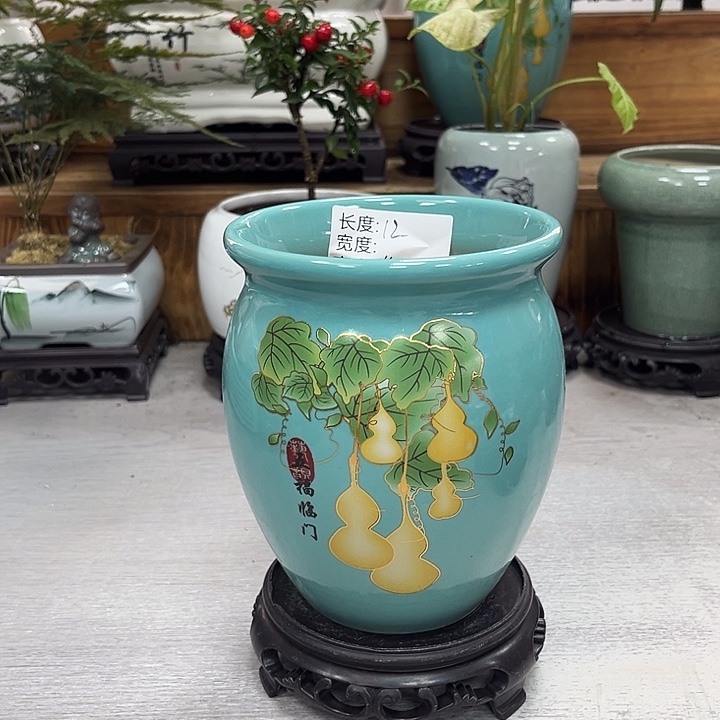 陶瓷花盆抢购福利活动