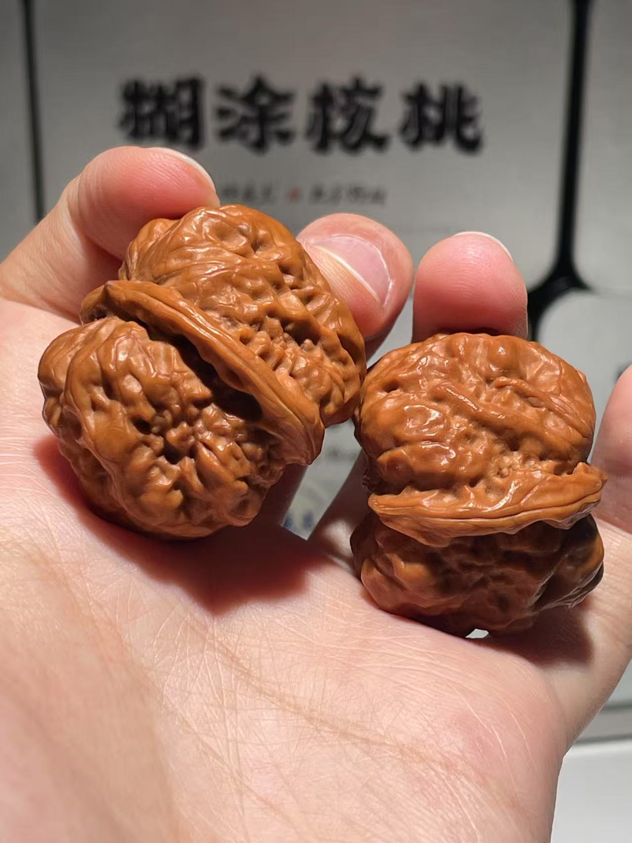 L2025HUTU蛤蟆头白茬