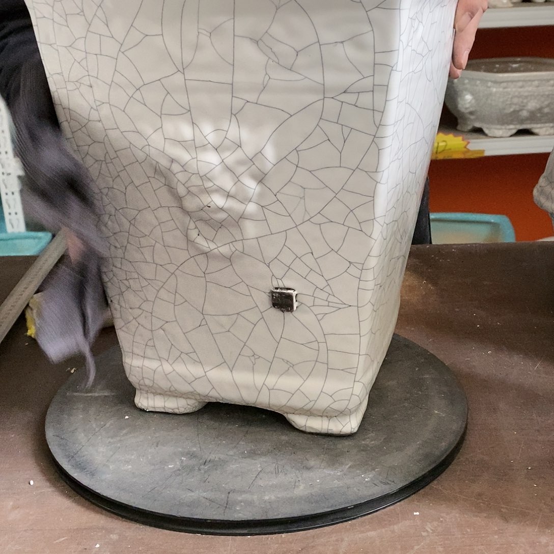 花盆花盆里放满鲜花