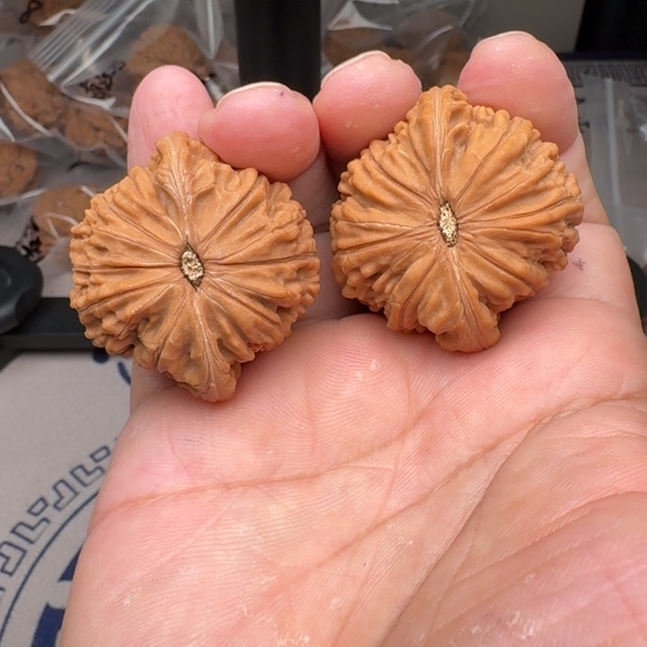 把件桃核山地磨盘41尺14