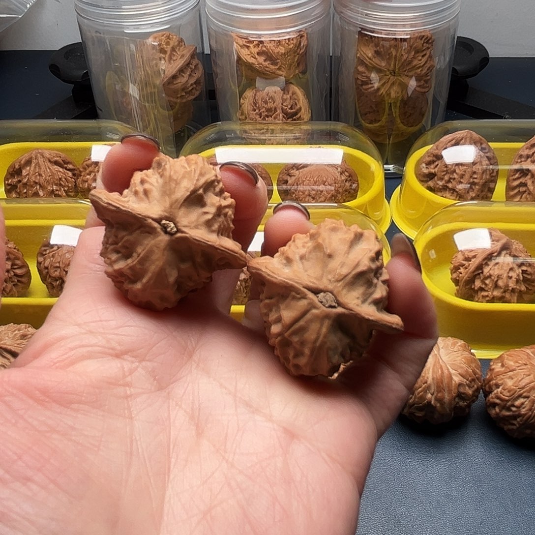 核桃36尺寸瓷娃娃