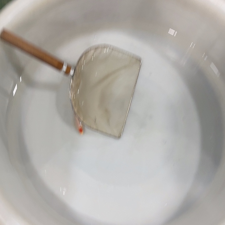 锦鲤阪井单顶红白子一代幼鱼