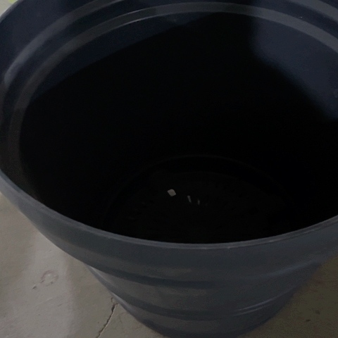 树脂凸纹盆黑色一个无托